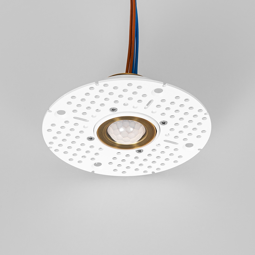 PIR Motion Sensor