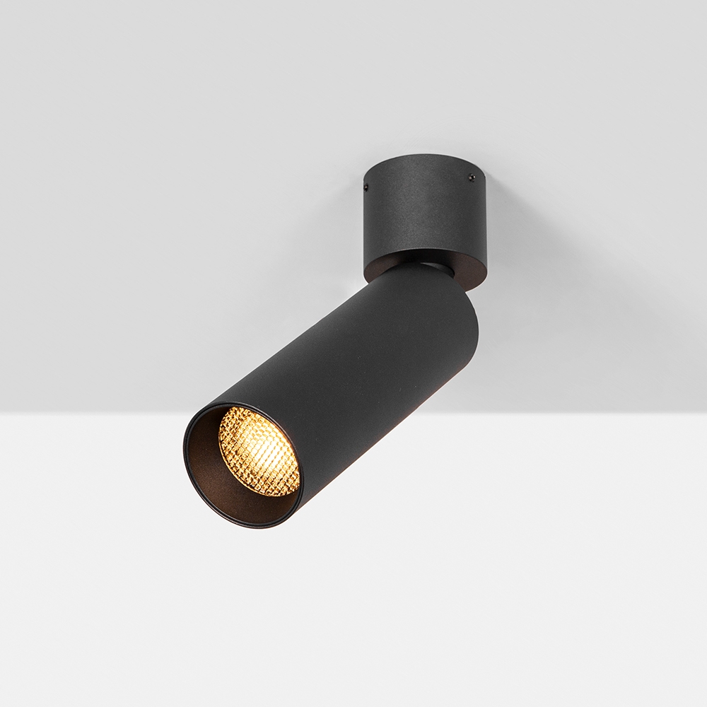 6W Adjustable Surface Mounted light