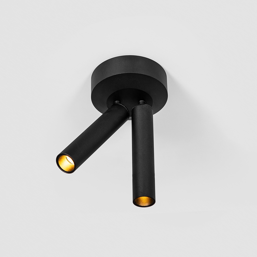 2*4W Surface Mounted Spotlight